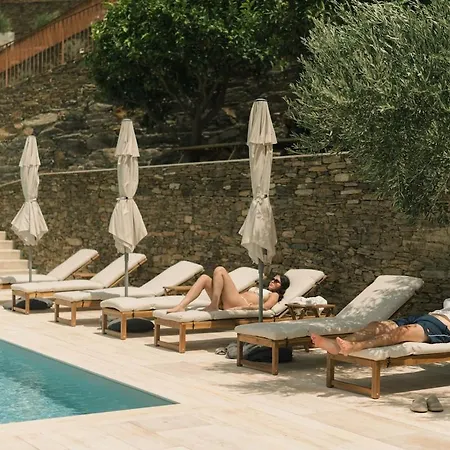 Vila Douro Olive Hills Village - Private Pool - By Fero